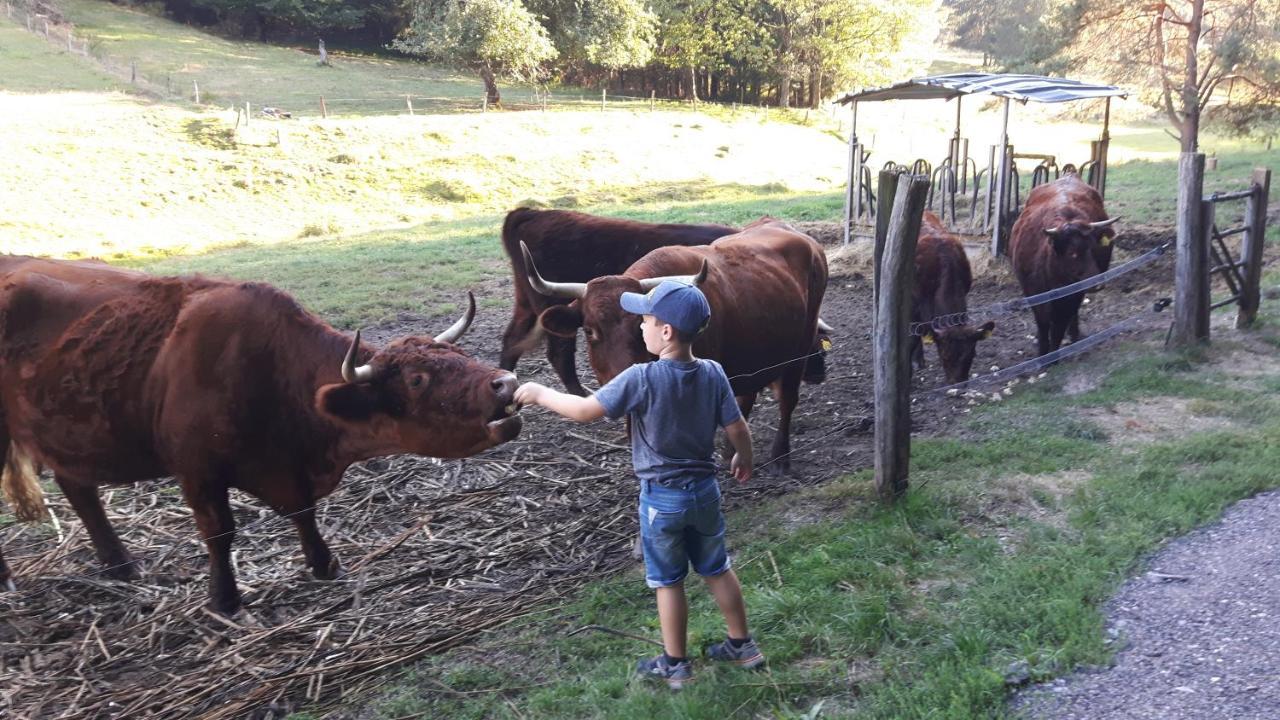 Ferienhaus Dorfschmiede Schönau Eksteriør bilde